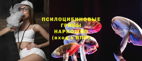 гидра Белоозёрский