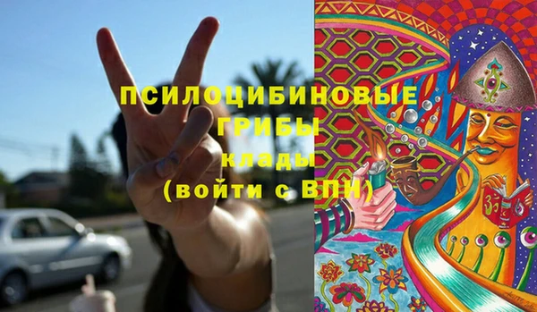 гидра Белоозёрский