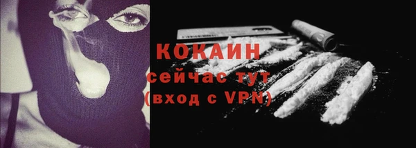 стаф Беломорск