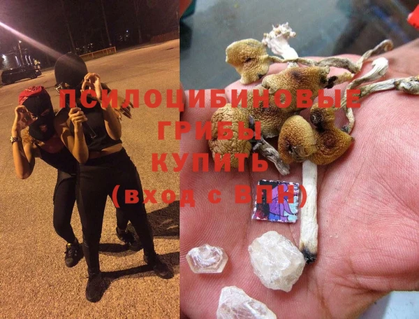 гидра Белоозёрский